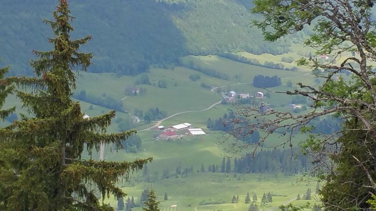 شقة Les Chamois Lajoux المظهر الخارجي الصورة