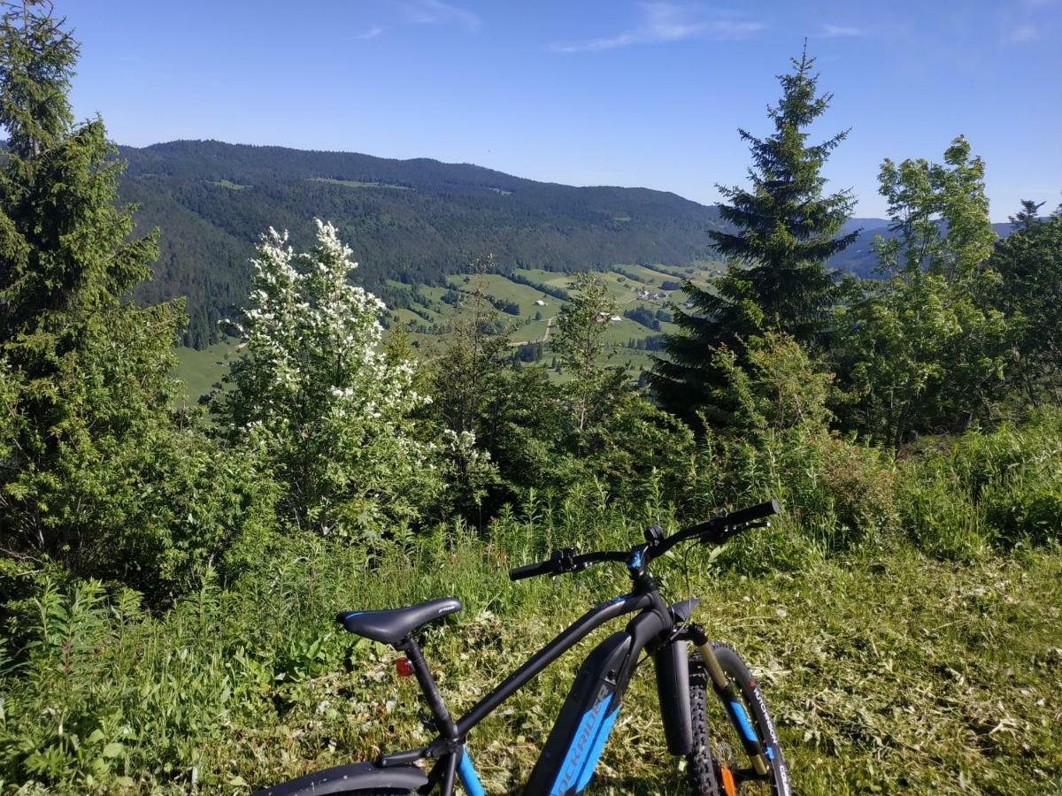 شقة Les Chamois Lajoux المظهر الخارجي الصورة