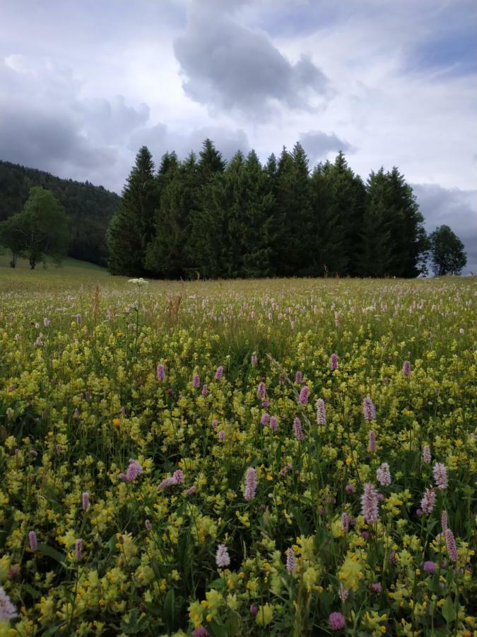 شقة Les Chamois Lajoux المظهر الخارجي الصورة